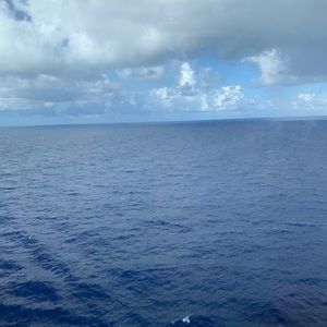 Meet your Posher, Magda